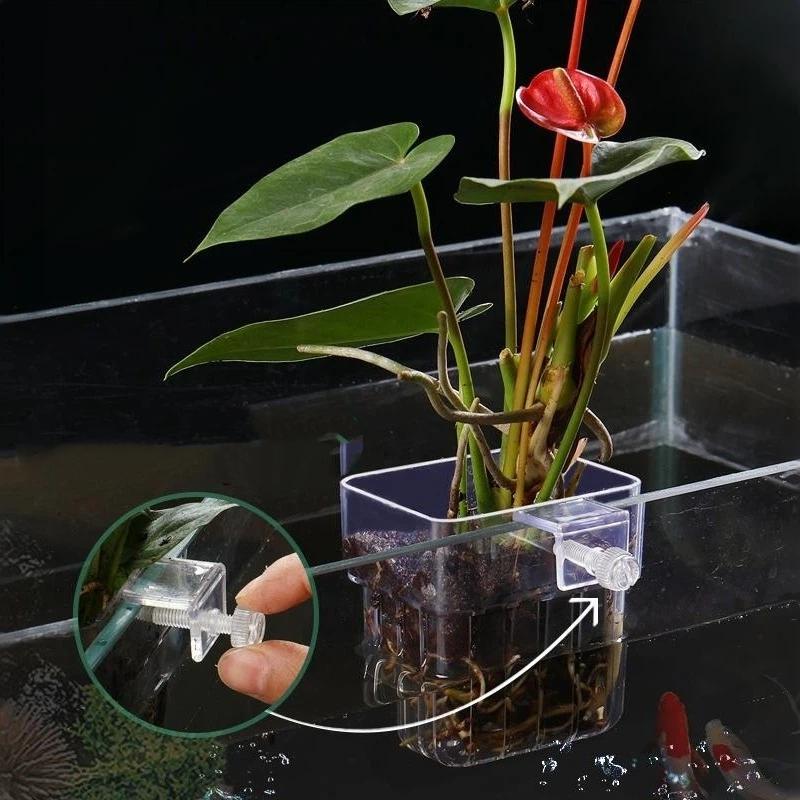 Aquarium Plant Easy To Grow - ที่แขวนต้นไม้ในตู้ปลาแบบใส ติดตั้งง่ายสำหรับตู้ปลา ปลูกพืชแบบไฮโดรโพนิก ตกแต่งตู้ปลาในบ้าน