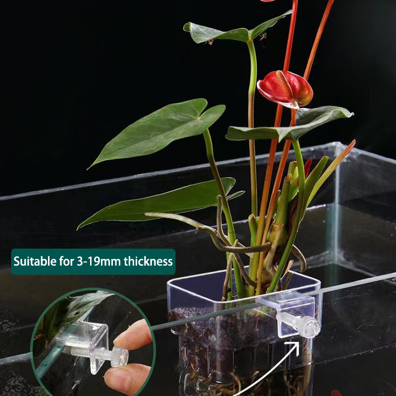 Aquarium For Planted Tank - ถ้วยปลูกหญ้าน้ำพิพิธภัณฑ์สัตว์น้ำอเนกประสงค์สำหรับการเพาะพันธุ์กล่องแยกตู้ปลาถังปลาการปลูกพืชไฮโดรโปนิกส์