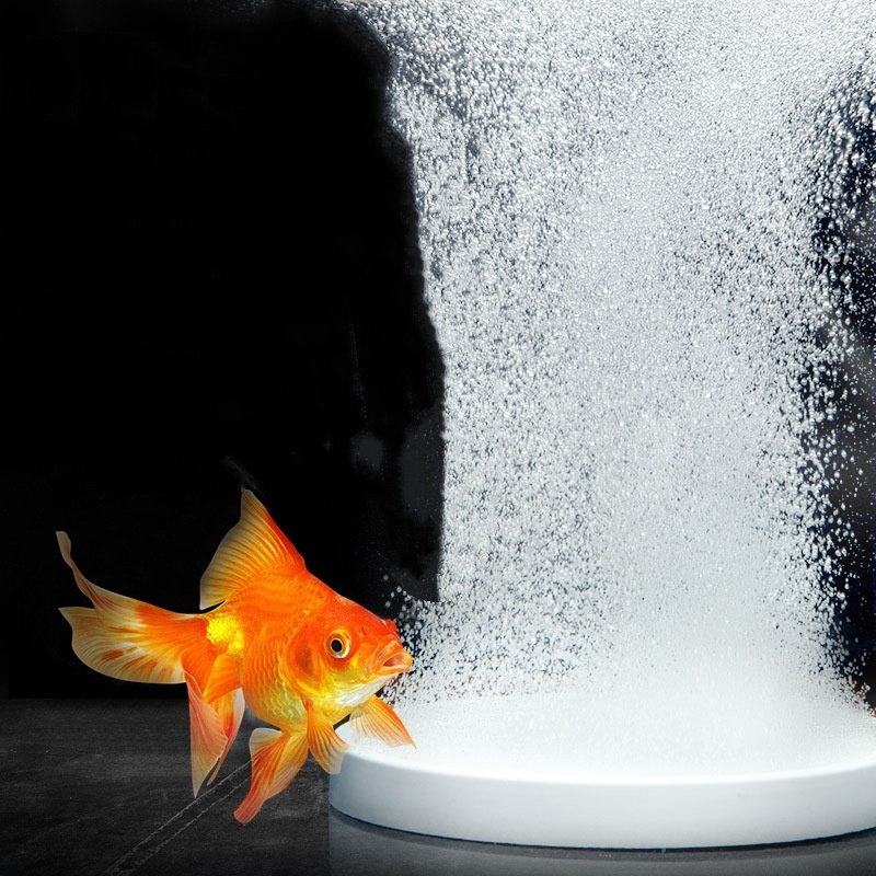 Planted Aquarium Accessories - นาโนดิสก์แอร์สโตน เครื่องเติมอากาศออกซิเจนสำหรับตู้ปลา - แผ่นกระจายฟองอากาศ ปั๊มลม แผ่นออกซิเจนสำหรับไฮโดรโปนิกส์