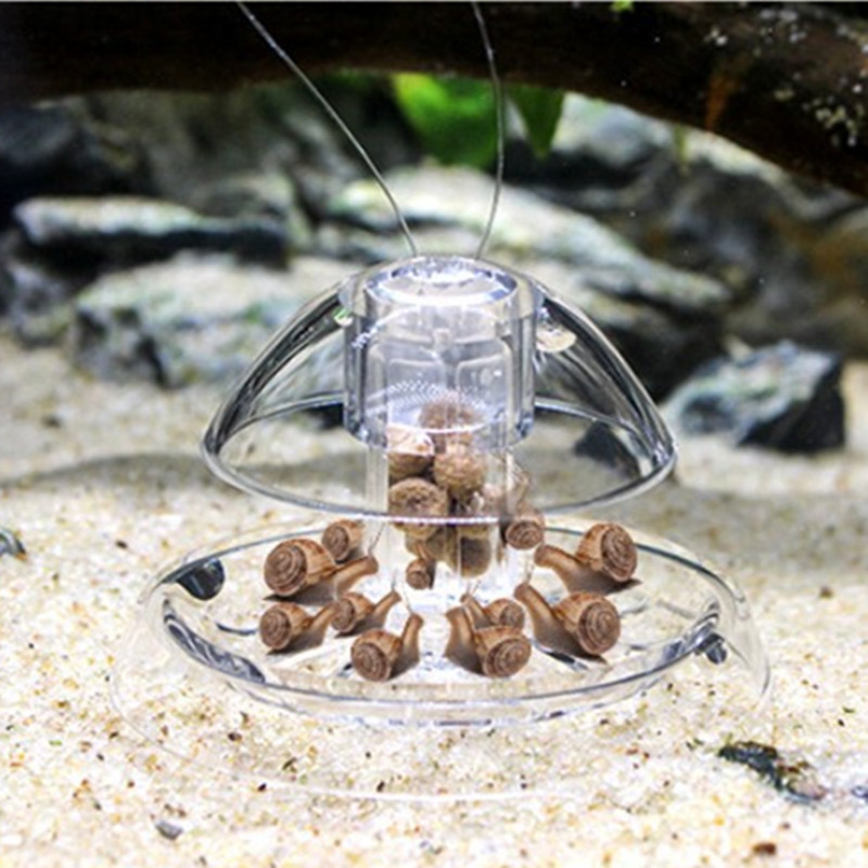 1PCS Fish TANK Aquarium CLEANE - Planted Aquarium Equipment บทวิจารณ์และราคา