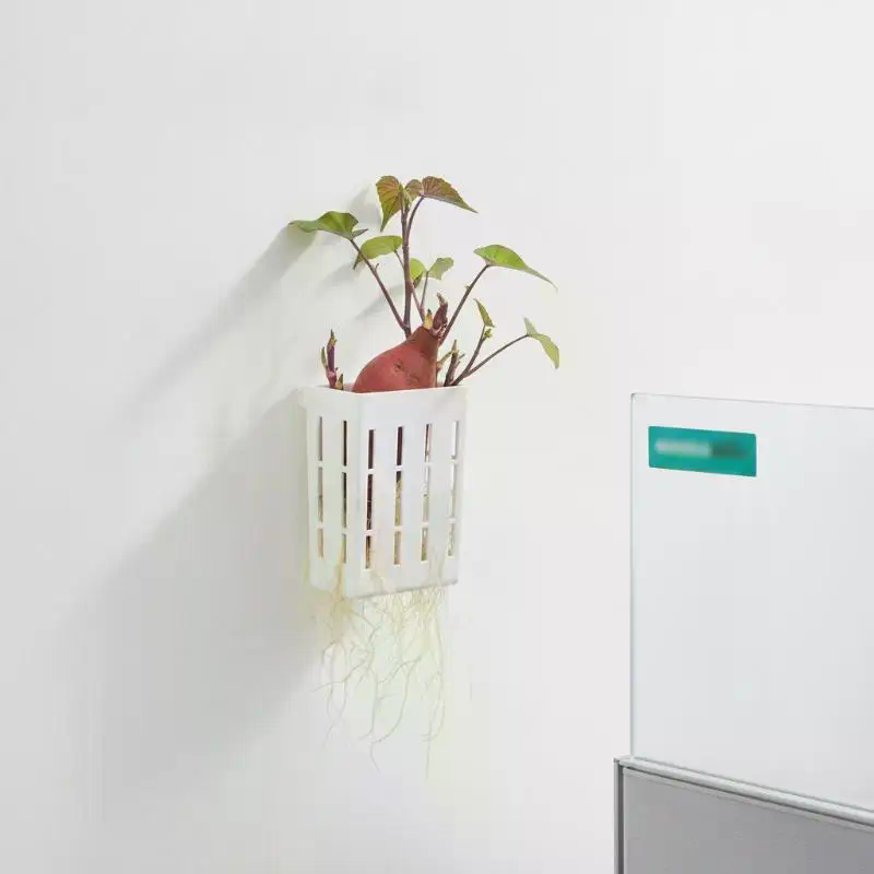 ตะกร้าปลูกพืชแบบไฮโดรโพนิก 1 ช - Aquarium For Planted Tank บทวิจารณ์และราคา