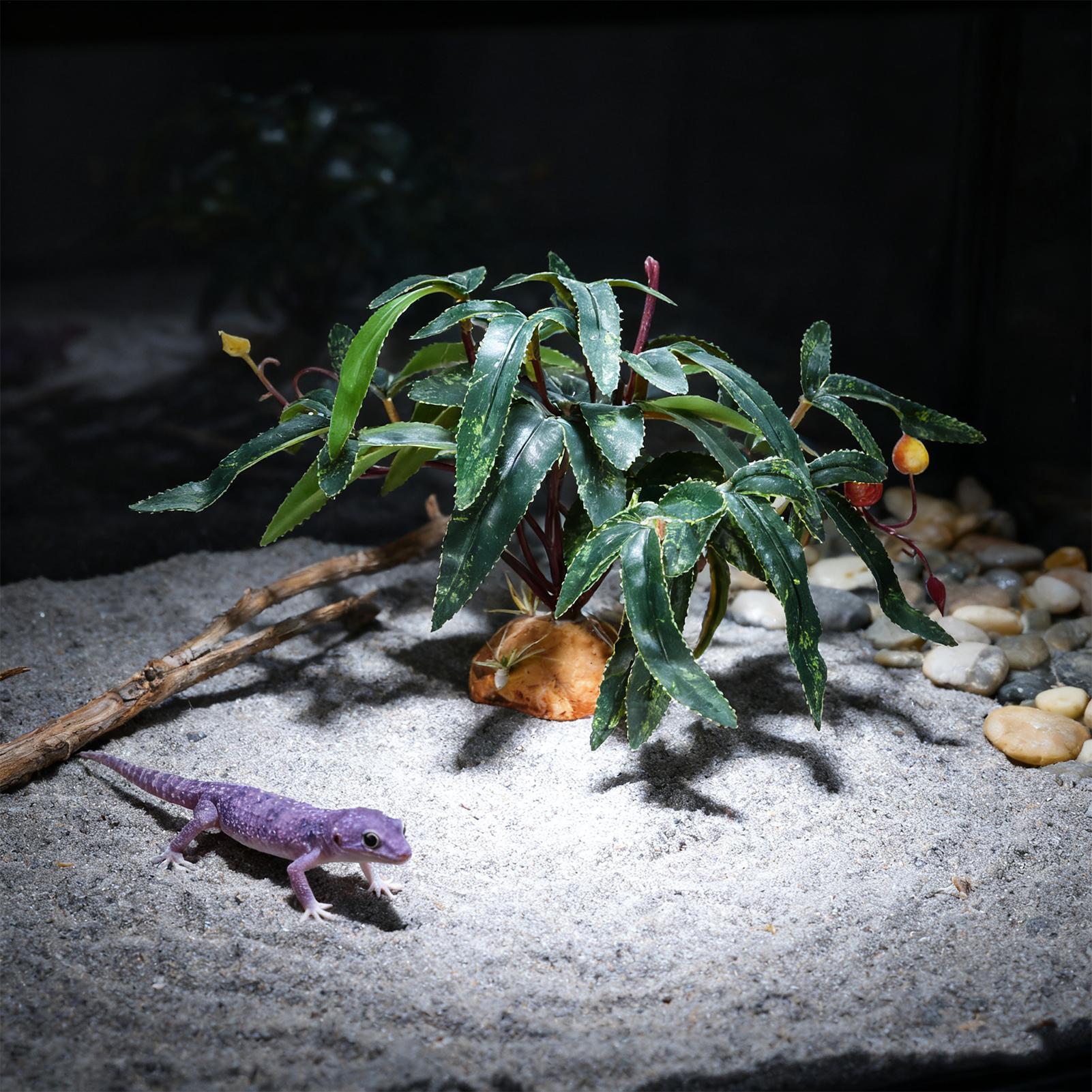 ต้นไม้ปลอมสำหรับตกแต่งตู้งู ขอ - Aquarium For Planted Tank บทวิจารณ์และราคา