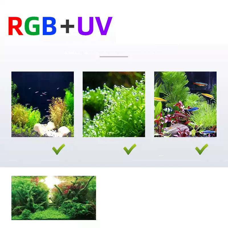 สัปดาห์ Aqua L Series WRGB UV  - Planted Aquarium Accessories บทวิจารณ์และราคา