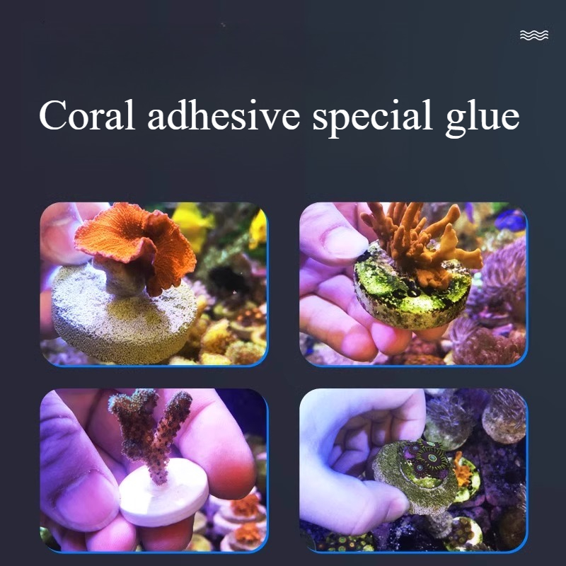 SPS LPS Coral Reef Frags Plug  - Aquarium Plant Glue Gel บทวิจารณ์และราคา