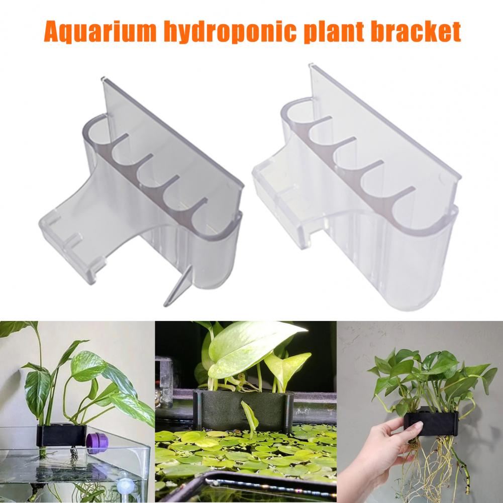 4.5/6.5 ซม.Aquarium Holder ถัง - Aquarium For Planted Tank บทวิจารณ์และราคา