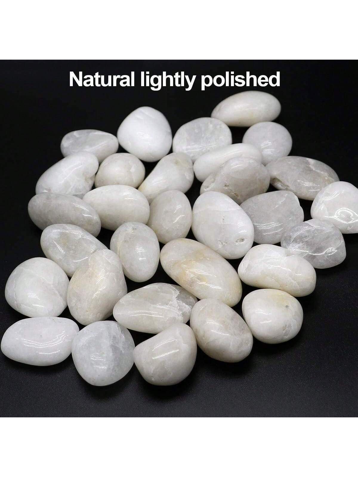 River Rocks ตกแต่งประดับสีขาว  - Aquarium Sand White บทวิจารณ์และราคา