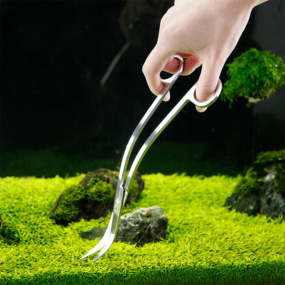 อุปกรณ์ตู้ปลาสแตนเลสสตีล Aquar - Planted Aquarium Kit บทวิจารณ์และราคา