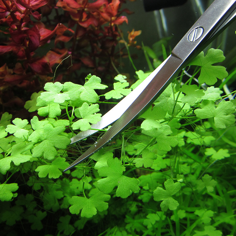 อุปกรณ์ตู้ปลาสแตนเลสสตีล Aquar - Planted Aquarium Kit บทวิจารณ์และราคา