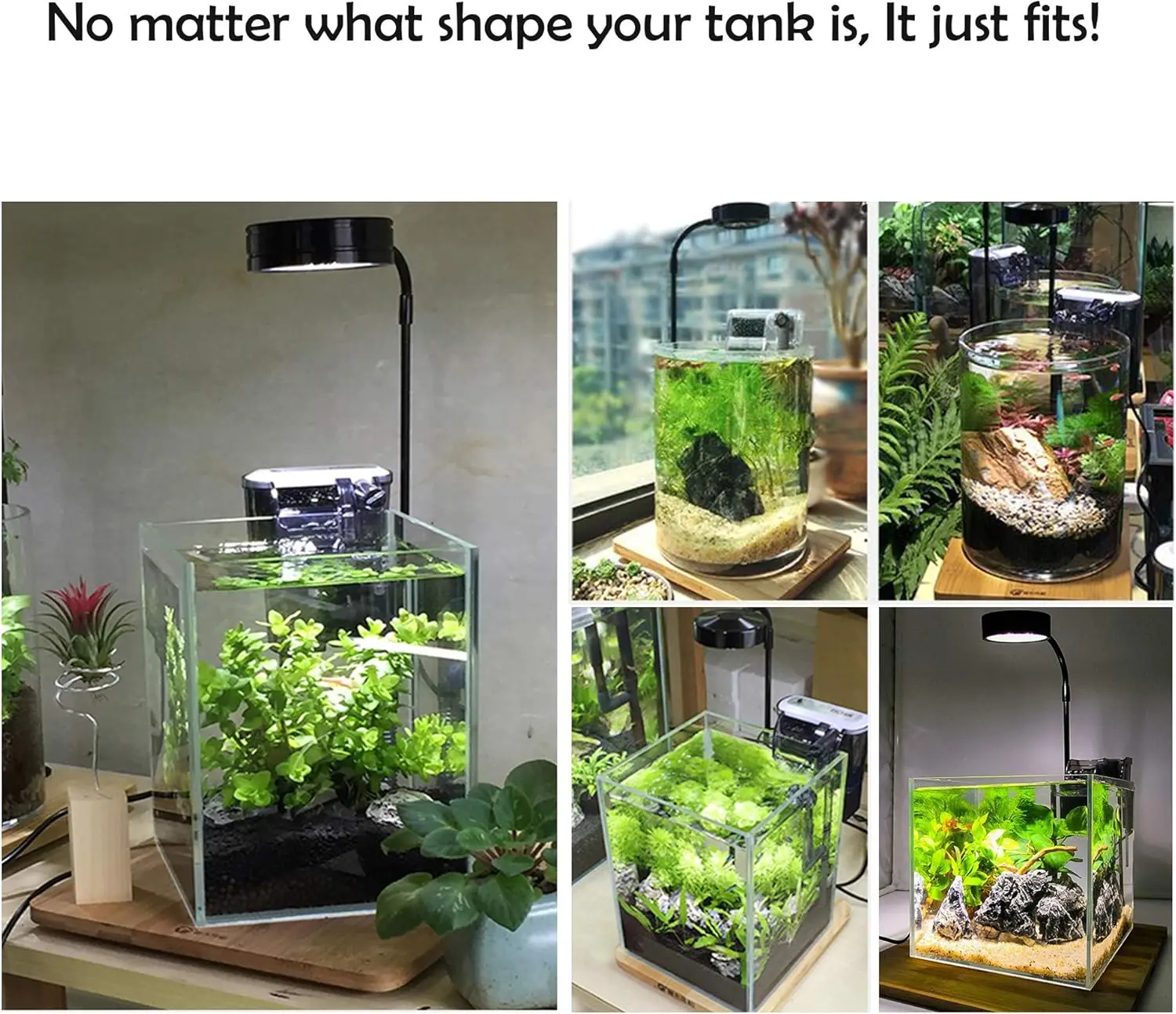 LED Aquarium Grow Light พร้อมก - Led Planted Tank Light บทวิจารณ์และราคา
