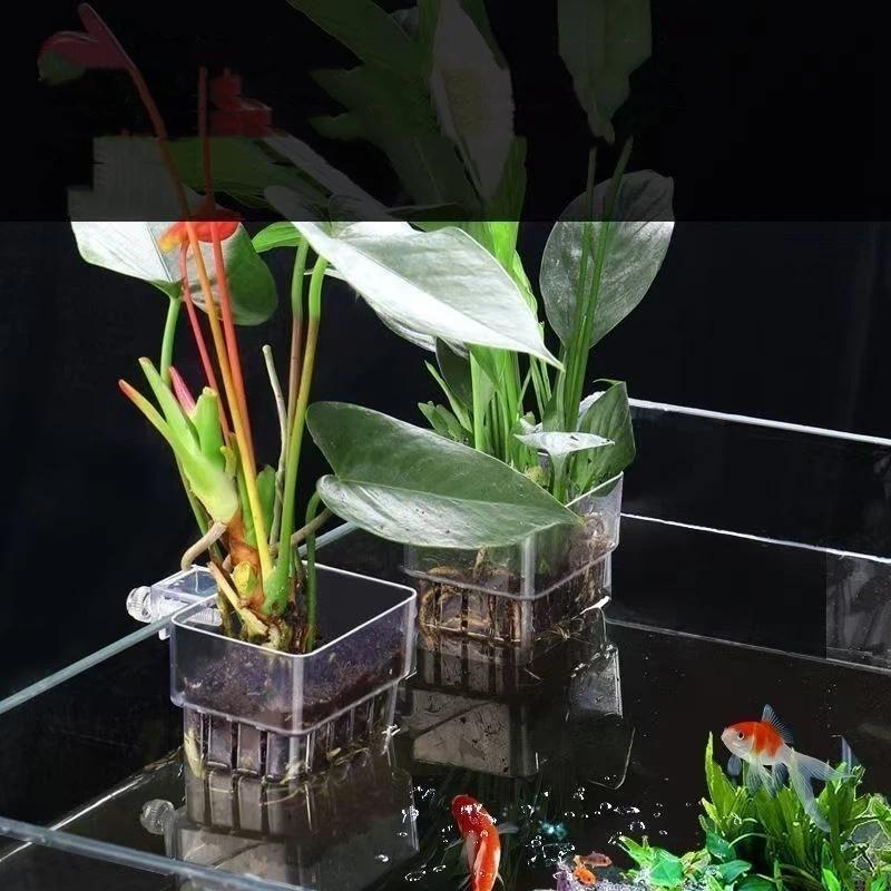 ที่แขวนต้นไม้ในตู้ปลาแบบใส ติด - Aquarium Plant Easy To Grow บทวิจารณ์และราคา