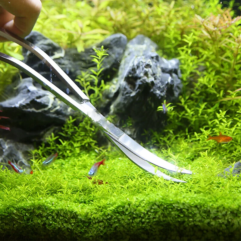 Aquarium กรรไกรเครื่องมือถังปล - Planted Aquarium Kit บทวิจารณ์และราคา