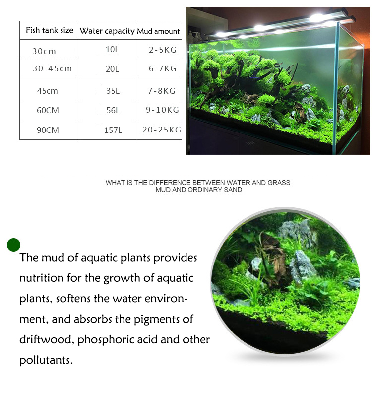 พิพิธภัณฑ์สัตว์น้ำเมล็ดพืชดิน  - Aquarium For Planted Tank บทวิจารณ์และราคา