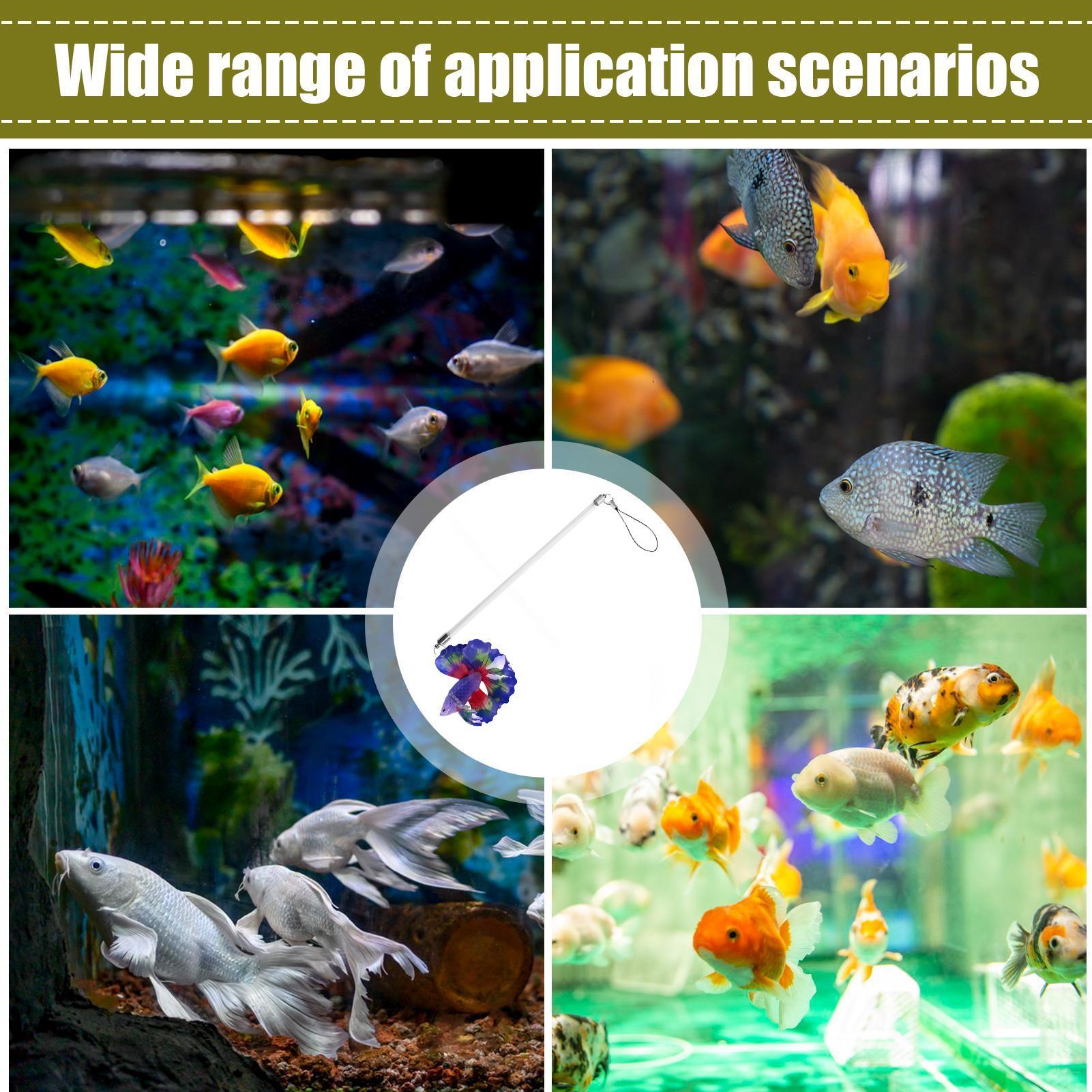 ไม้ฝึกปลา ของเล่นฝึกสมรรถภาพทา - Planted Aquarium For Beginners บทวิจารณ์และราคา