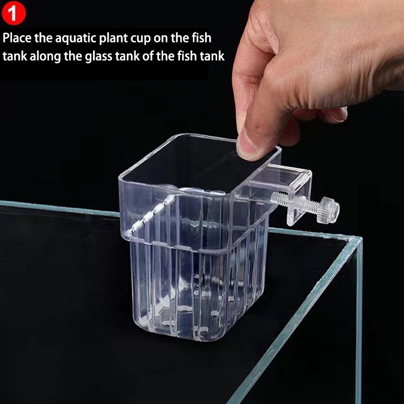 ถ้วยปลูกหญ้าน้ำพิพิธภัณฑ์สัตว์ - Aquarium For Planted Tank บทวิจารณ์และราคา
