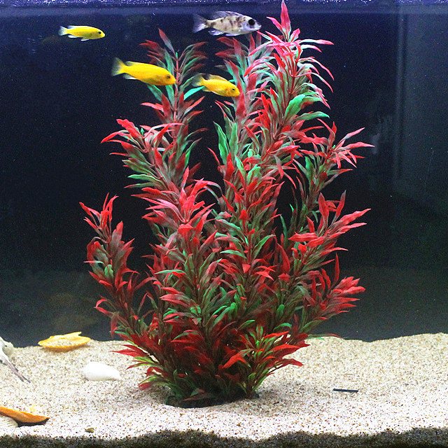50 ซม.ถังปลาประดิษฐ์พืชหายากAq - Aquarium For Planted Tank บทวิจารณ์และราคา
