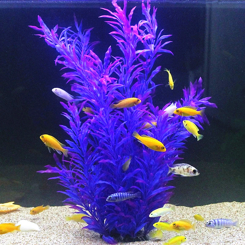 50 ซม.ถังปลาประดิษฐ์พืชหายากAq - Aquarium For Planted Tank บทวิจารณ์และราคา