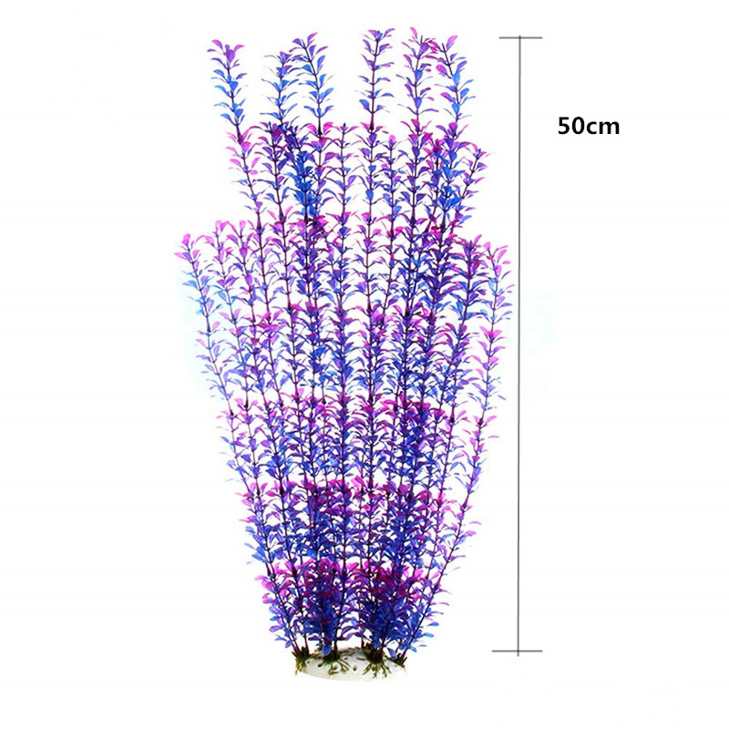 50 ซม.ถังปลาประดิษฐ์พืชหายากAq - Aquarium For Planted Tank บทวิจารณ์และราคา