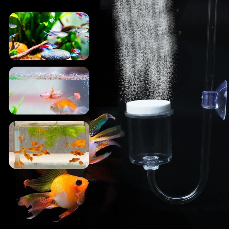 DIY ชุดกระจาย CO2 4ชิ้นสำหรับต - Planted Aquarium Kit บทวิจารณ์และราคา