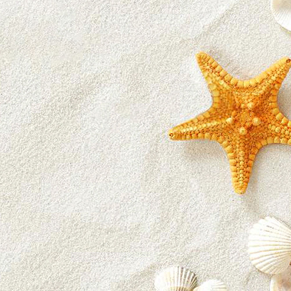 5 แพ็ค ทรายสีขาว 80 กรัม สำหรั - Aquarium Sand White บทวิจารณ์และราคา